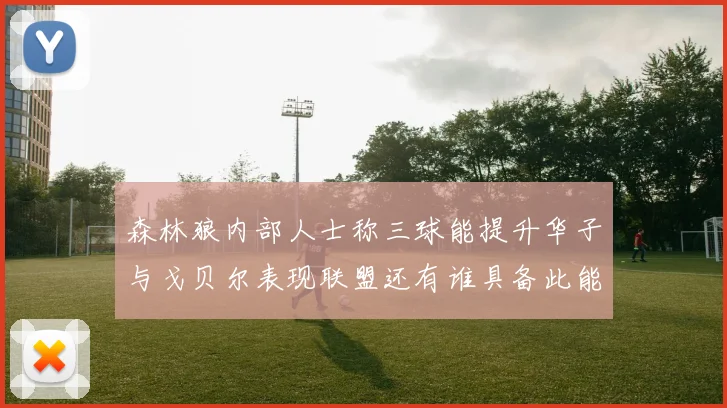 森林狼内部人士称三球能提升华子与戈贝尔表现联盟还有谁具备此能力