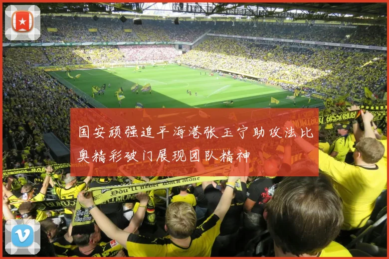 国安顽强追平海港张玉宁助攻法比奥精彩破门展现团队精神