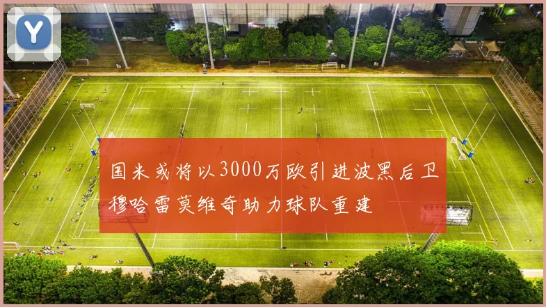 国米或将以3000万欧引进波黑后卫穆哈雷莫维奇助力球队重建